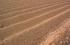 Soils information