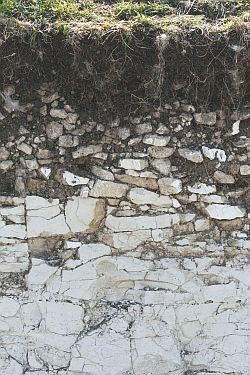 A 'rendzina' a fragile, shallow calcareous soil. Image Copyright S.Hallett, Cranfield Environment Centre (CEC), Cranfield University.