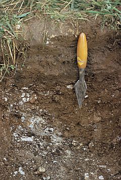 Soil profile pit. Image Copyright Cranfield University.