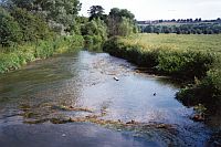A beautiful lowland river. Image Copyright Cranfield Environment Centre (CEC), Cranfield University.